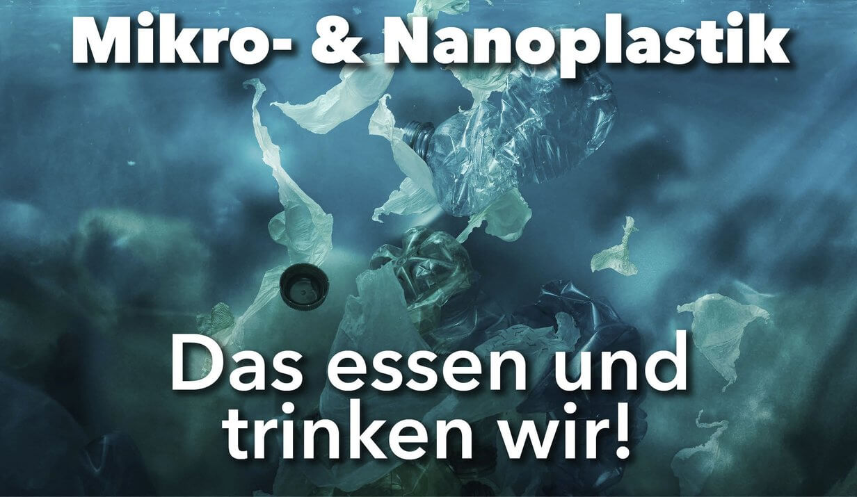 Die Auswirkungen von Mikro- und Nanoplastik