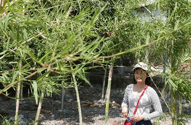 Frau posiert vor Bambus