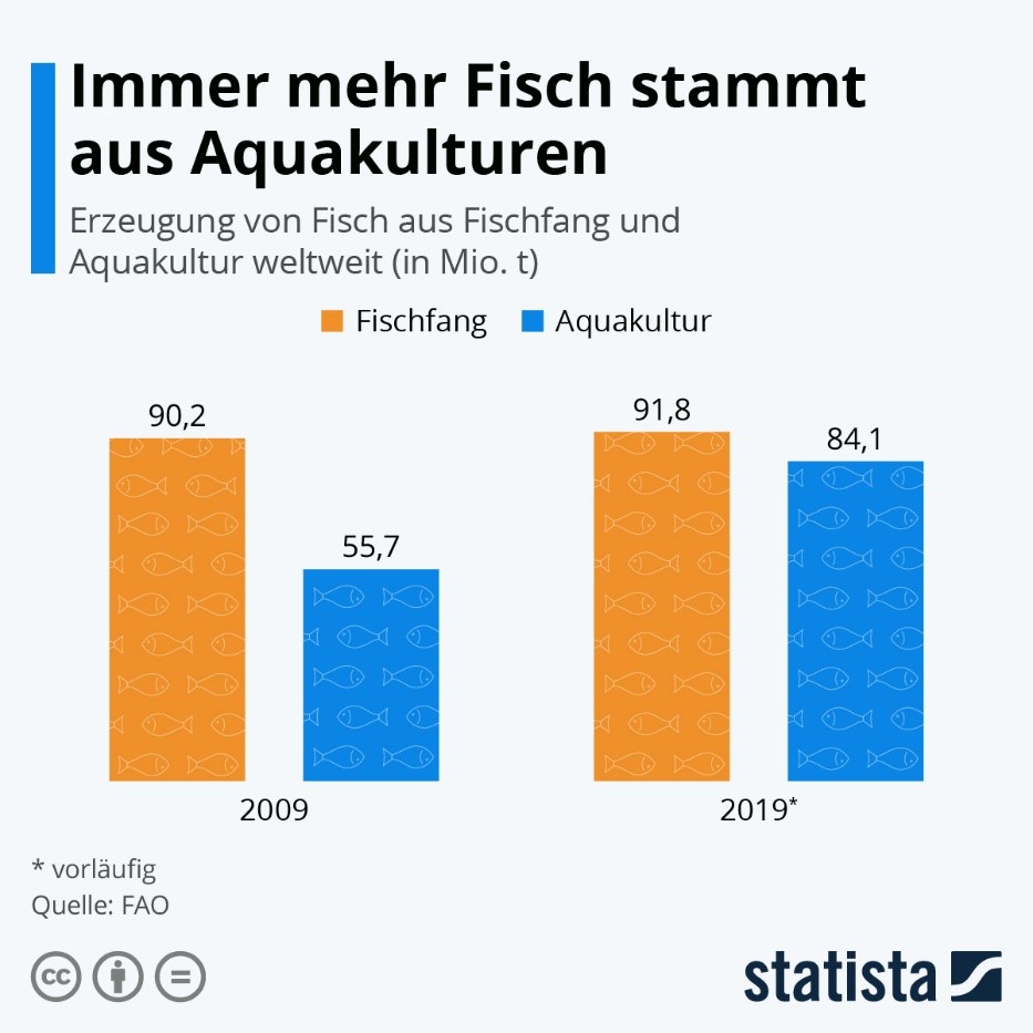 Diagramm, das die weltweit erzeugte Menge von Fisch aus Fischfang und Aquakultur zeigt 