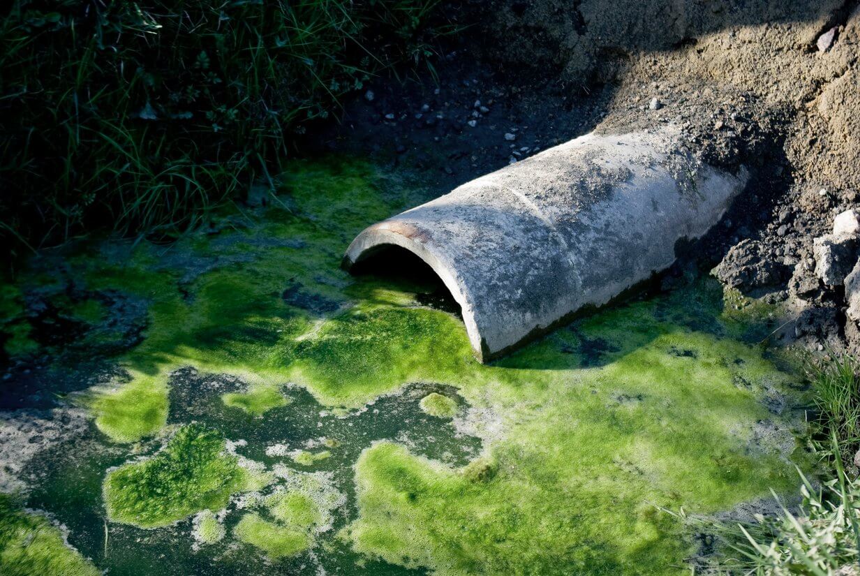 Ableitung von Abwasser durch ein Rohr