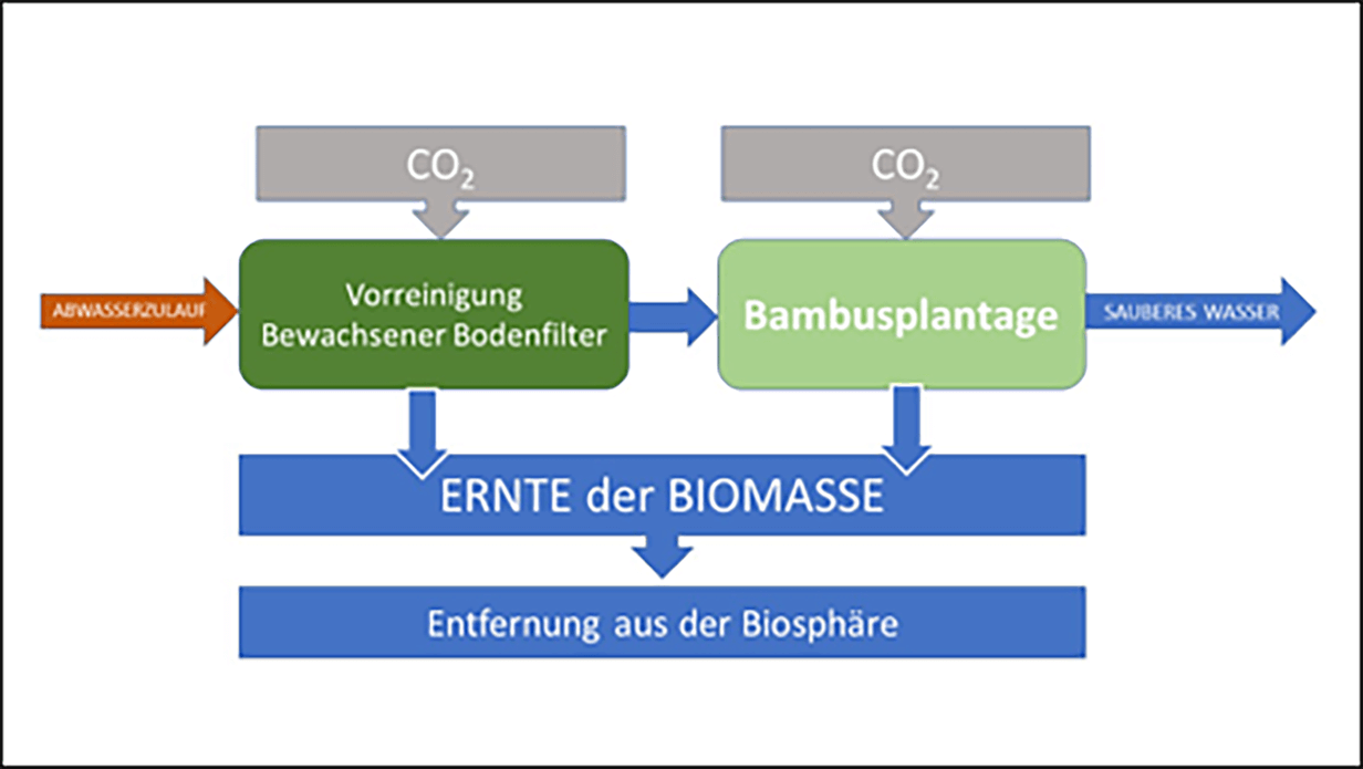 Schema einer naturnahen dezentralen Abwasserreinigungsanlage zur CO2-Entfernung aus der Biosphäre