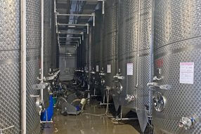 Maschinen zur Weinherstellung bei Asconi